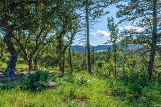 Agriculture,  Dry Creek road, Napa, CA 94558 - 84