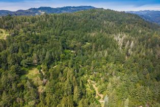 Agriculture,  Dry Creek road, Napa, CA 94558 - 25