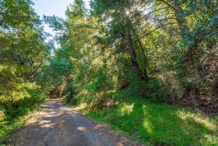Agriculture,  Dry Creek road, Napa, CA 94558 - 27