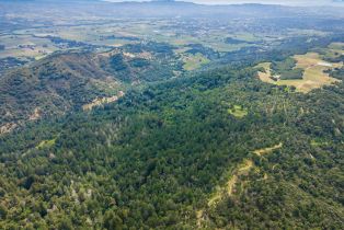 Agriculture,  Dry Creek road, Napa, CA 94558 - 11