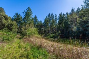 Agriculture,  Dry Creek road, Napa, CA 94558 - 53