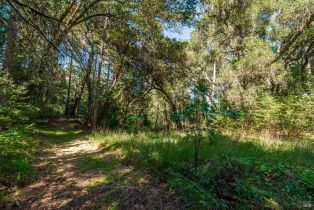 Agriculture,  Dry Creek road, Napa, CA 94558 - 42