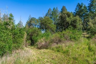 Agriculture,  Dry Creek road, Napa, CA 94558 - 54
