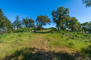 Agriculture,  Dry Creek road, Napa, CA 94558 - 87