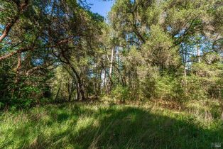 Agriculture,  Dry Creek road, Napa, CA 94558 - 43