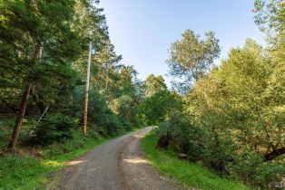 Agriculture,  Dry Creek road, Napa, CA 94558 - 33