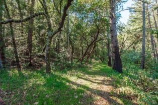 Agriculture,  Dry Creek road, Napa, CA 94558 - 61