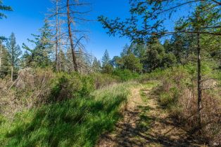 Agriculture,  Dry Creek road, Napa, CA 94558 - 55