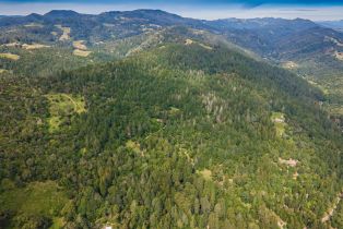 Agriculture,  Dry Creek road, Napa, CA 94558 - 21