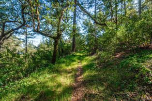 Agriculture,  Dry Creek road, Napa, CA 94558 - 73