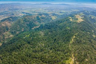 Agriculture,  Dry Creek road, Napa, CA 94558 - 12