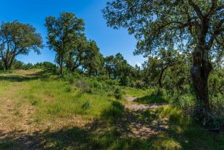 Agriculture,  Dry Creek road, Napa, CA 94558 - 89