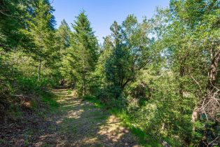 Agriculture,  Dry Creek road, Napa, CA 94558 - 36