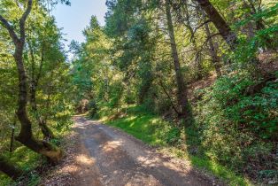 Agriculture,  Dry Creek road, Napa, CA 94558 - 26