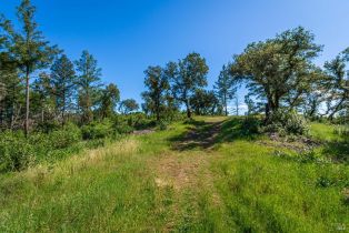 Agriculture,  Dry Creek road, Napa, CA 94558 - 78