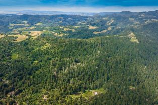 Agriculture,  Dry Creek road, Napa, CA 94558 - 17