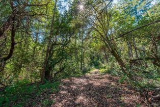 Agriculture,  Dry Creek road, Napa, CA 94558 - 68