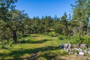 Agriculture,  Dry Creek road, Napa, CA 94558 - 91