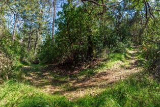 Agriculture,  Dry Creek road, Napa, CA 94558 - 67