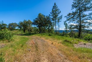 Agriculture,  Dry Creek road, Napa, CA 94558 - 81