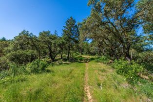 Agriculture,  Dry Creek road, Napa, CA 94558 - 96