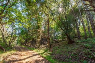 Agriculture,  Dry Creek road, Napa, CA 94558 - 28