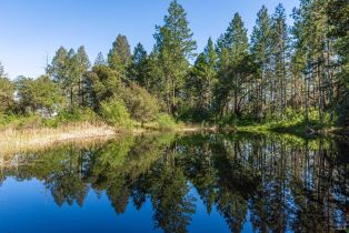 Agriculture,  Dry Creek road, Napa, CA 94558 - 63