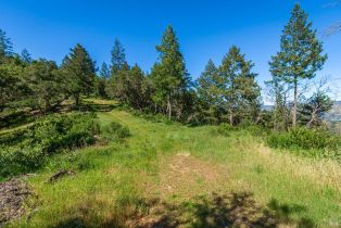 Agriculture,  Dry Creek road, Napa, CA 94558 - 79