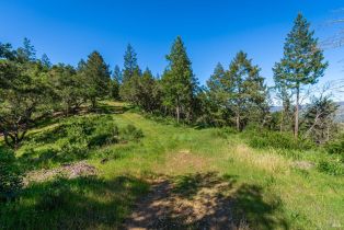 Agriculture,  Dry Creek road, Napa, CA 94558 - 80