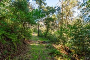 Agriculture,  Dry Creek road, Napa, CA 94558 - 45