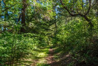 Agriculture,  Dry Creek road, Napa, CA 94558 - 70