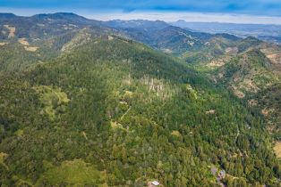 Agriculture,  Dry Creek road, Napa, CA 94558 - 23