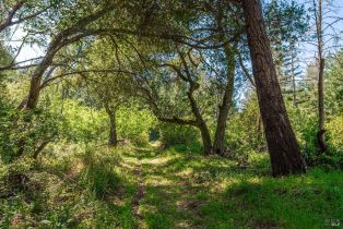 Agriculture,  Dry Creek road, Napa, CA 94558 - 51