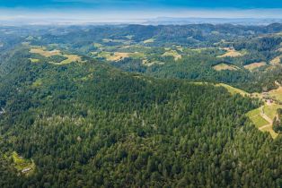 Agriculture,  Dry Creek road, Napa, CA 94558 - 15