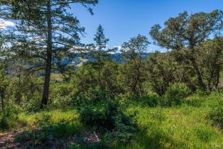 Agriculture,  Dry Creek road, Napa, CA 94558 - 93