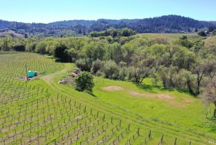 Agriculture,  Dry Creek road, Healdsburg, CA 95448 - 22