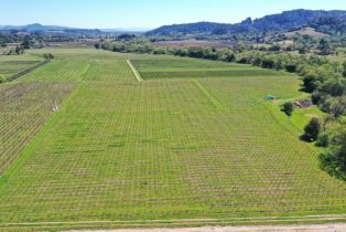 Agriculture,  Dry Creek road, Healdsburg, CA 95448 - 38