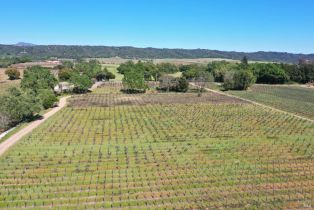 Agriculture,  Dry Creek road, Healdsburg, CA 95448 - 16