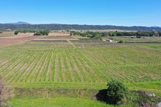 Agriculture,  Dry Creek road, Healdsburg, CA 95448 - 24