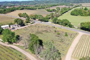Agriculture,  Dry Creek road, Healdsburg, CA 95448 - 17