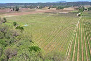Agriculture,  Dry Creek road, Healdsburg, CA 95448 - 23
