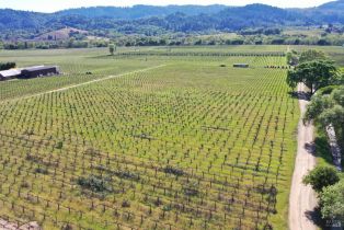 Agriculture,  Dry Creek road, Healdsburg, CA 95448 - 57