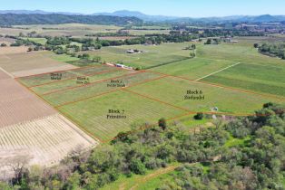 Agriculture,  Dry Creek road, Healdsburg, CA 95448 - 10