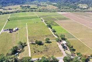 Agriculture,  Dry Creek road, Healdsburg, CA 95448 - 30