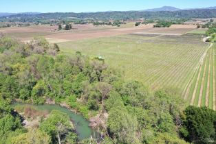 Agriculture,  Dry Creek road, Healdsburg, CA 95448 - 46