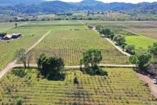 Agriculture,  Dry Creek road, Healdsburg, CA 95448 - 54