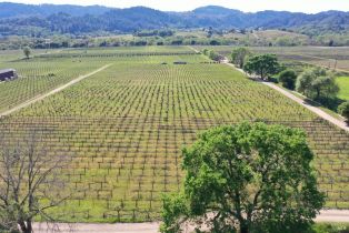 Agriculture,  Dry Creek road, Healdsburg, CA 95448 - 56