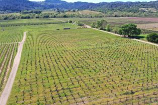 Agriculture,  Dry Creek road, Healdsburg, CA 95448 - 43