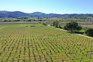 Agriculture,  Dry Creek road, Healdsburg, CA 95448 - 58