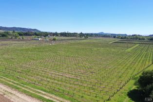 Agriculture,  Dry Creek road, Healdsburg, CA 95448 - 19